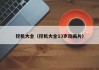 挖机大全(挖机大全13岁动画片)