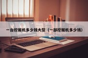 一台挖掘机多少钱大型（一部挖掘机多少钱）
