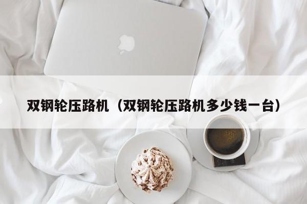 双钢轮压路机(双钢轮压路机多少钱一台)