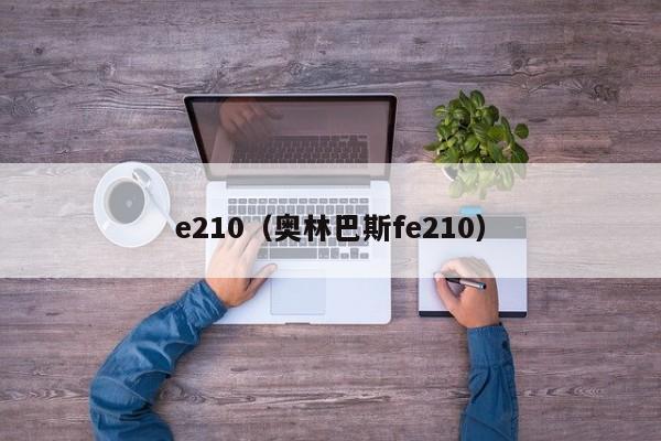 e210(奥林巴斯fe210)