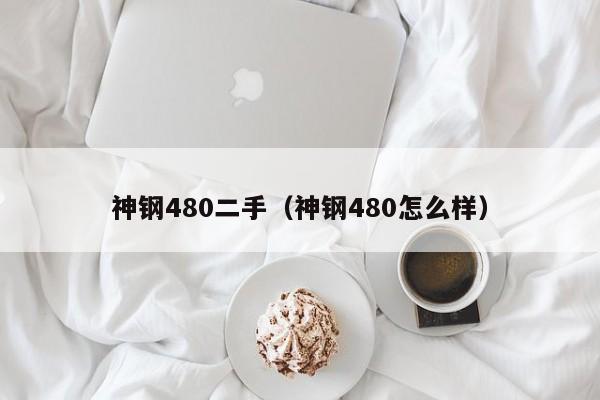 神钢480二手(神钢480怎么样)