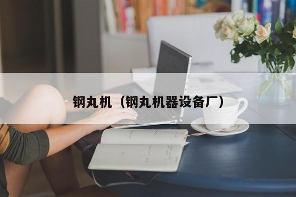 钢丸机(钢丸机器设备厂)