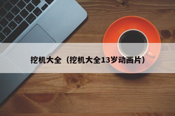 挖机大全(挖机大全13岁动画片)